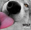 Kaya der Wolf's Avatar